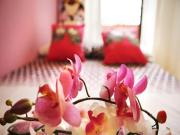 Via Niccolò Paganini, Milan, Lombardy 20131