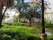 Via Noce Uditore Noce Zisa 15 vani 400mq