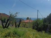 Via Nuova Cantalupo snc 6 vani 82mq