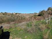 Via Palagonia 6 16432mq