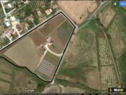 Via per Canicattini 29 156 20000mq