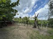 Via Postuman bilocale 66mq