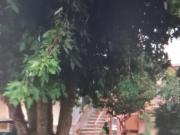 via provinciale 5 vani 120mq