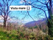 Via Raffaele Luciano Castagneto San Cesareo Badia 0mq