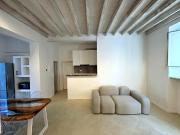 VIA ROMANA CENTRO OLTRARNO / S. SPIRITO / S.FREDIANO...