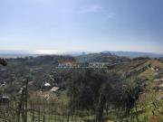 Via S. Lorenzo Romagnano 62 monolocale 2346mq