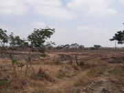 Via Salitre Venta de terreno, diagonal gasolinera Primax