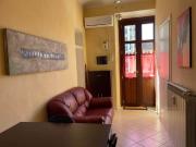 VIA SALUZZO ARREDATO LIBERO DA SUBITO