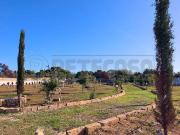 Via Stefano Catalano 5 4500mq