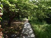 Via Trento 31 15 vani 1000mq