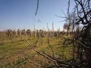 Via Trento 70 monolocale 61000mq