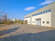 via trieste monolocale 1000mq