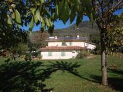 Via Valdicastello Carducci 36 10 vani 180mq