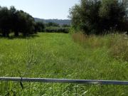 Via volga Colonnetta Via Vestina Nord 3000mq