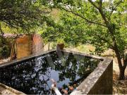 Viabilidade construção 100m² Monte Alentejano com ruina...