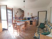 Viale Bellucci 7 quadrilocale 70mq Viale Bellucci 7 quadrilocale 70mq