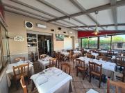 Viale della Pesca Fiumicino Paese 350mq