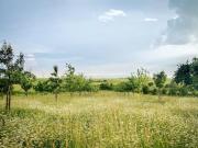 Viale Fiume, CENTRO monolocale 4200mq