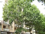 Viale Papa Giovanni XXIII 5 bilocale 55mq