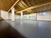 Viale Trento 6 vani 300mq