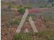 Viana do Castelo Viana do Castelo 100019413