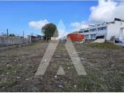 Viana do Castelo Viana do Castelo 87036240