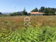 Viana do Castelo Viana do Castelo 91220039