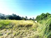 Viana do Castelo Viana do Castelo 94216654