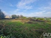 Viana do Castelo Viana do Castelo 95848248