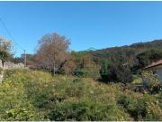 Viana do Castelo Viana do Castelo 96591166