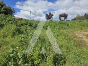 Viana do Castelo Viana do Castelo 97013366