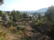 Viana do Castelo Viana do Castelo 97485688