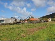 Viana do Castelo Viana do Castelo 98573128