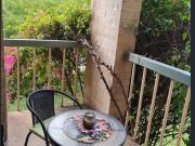 Victoria Park Apartments Renovated Furnished 2 bedroom... Victoria Park Apartments Renovated Furnished 2 bedroom...