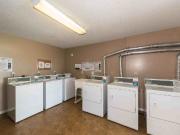 Victorian Arms 1 Bedroom Apartment for Rent at 14624 72...