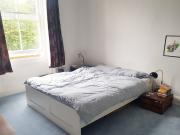 Victorian Spacious Apartment