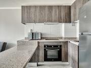Vicuña Urban [1322 1]