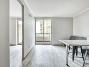 Vicuña Urban [1322 1]