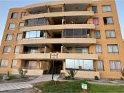 Vida costera ideal en Arica