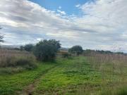 Vida Tranquila en Lote Puente