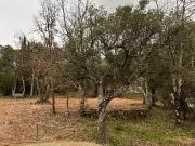 Vidauban 83550 Programme neuf terrain neuf à vendre