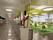 ViE: LOVE WORK. LOVE LIFE