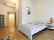 Vienna 1160 95049405