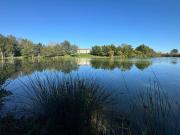 VIENNE Proche L'Isle Jourdain Propriété sur 8,4...