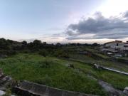 Vigneto in vendita a Catania