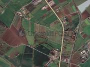 Vigneto in vendita a Cellole