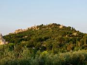 Vigneto in vendita a Montepulciano Siena