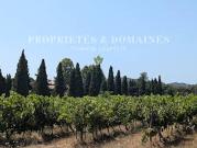 Vignoble avec dépendances