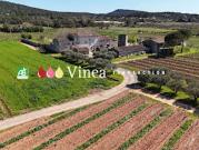 Vignoble