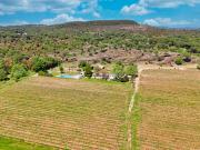 Vignoble